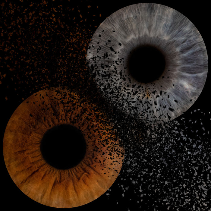 Pärchen Iris Bild