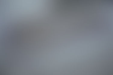 The Microscope: Antonie van Leeuwenhoek 