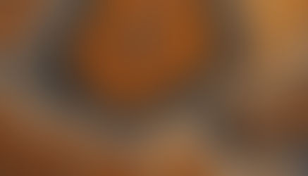 First Life on Earth: Microbes & Stromatolites