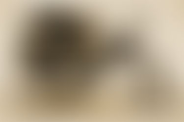 Pioneering German Women - Bertha Benz