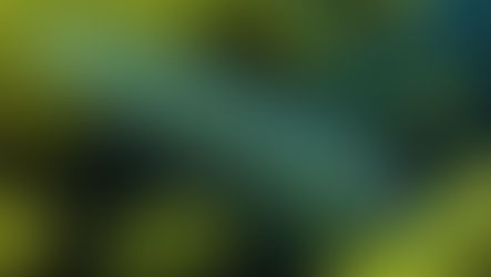 The Unseen World: Protozoans in Nature 