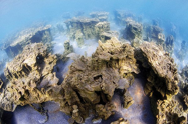 formations of microbialites