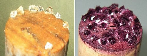 white and red tartaric acid crystals or "wine diamonds"