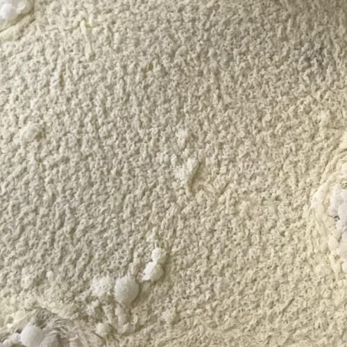 Kahm yeast with typical patterning