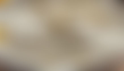 How Lactic Acid Bacteria Make Yogurt 