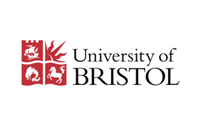 University of Bristol Virtual Summer School in May 2026
