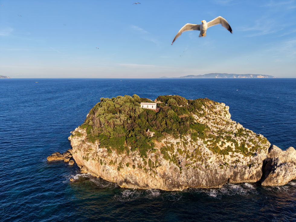 dji_fly_20260606_190516_0173_1781073817071_photo