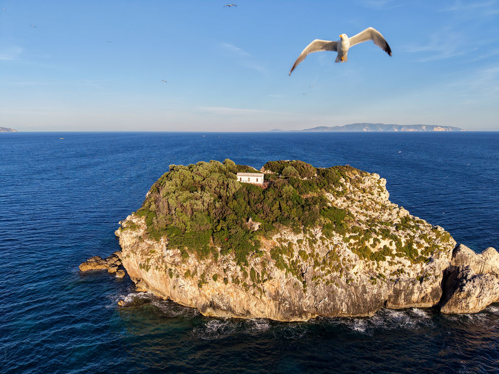 dji_fly_20260606_190516_0173_1781073817071_photo