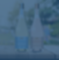 Blue VNo background.png