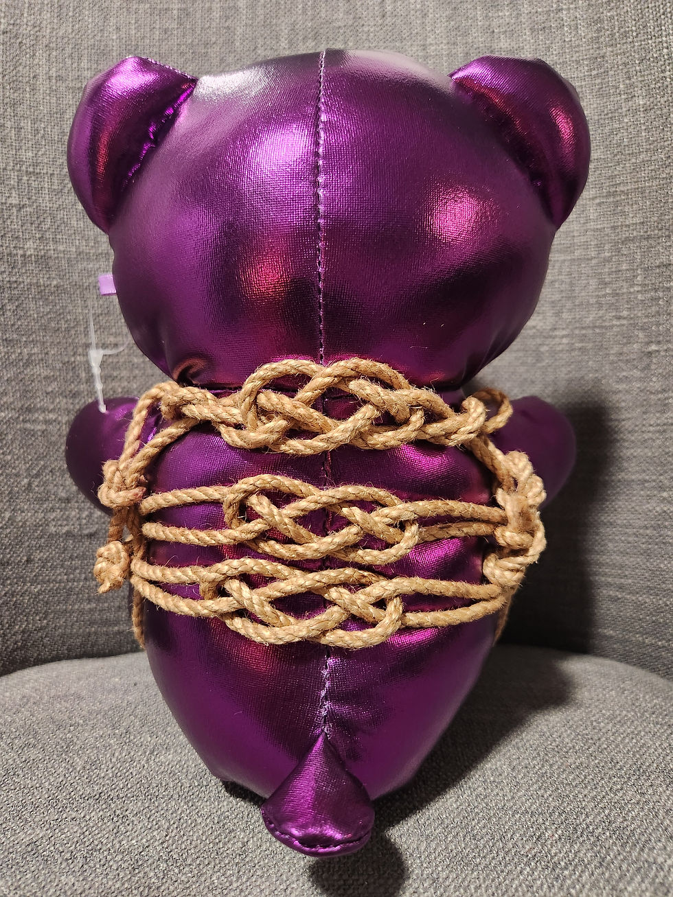 Thumbnail: Tied up Teddy Small