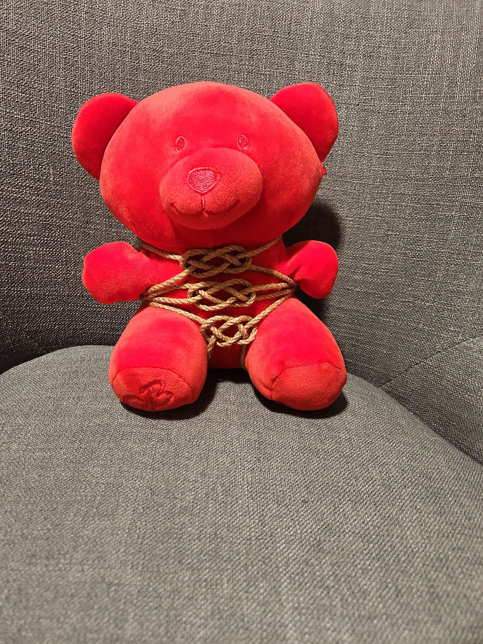 Thumbnail: Tied up Teddy Small