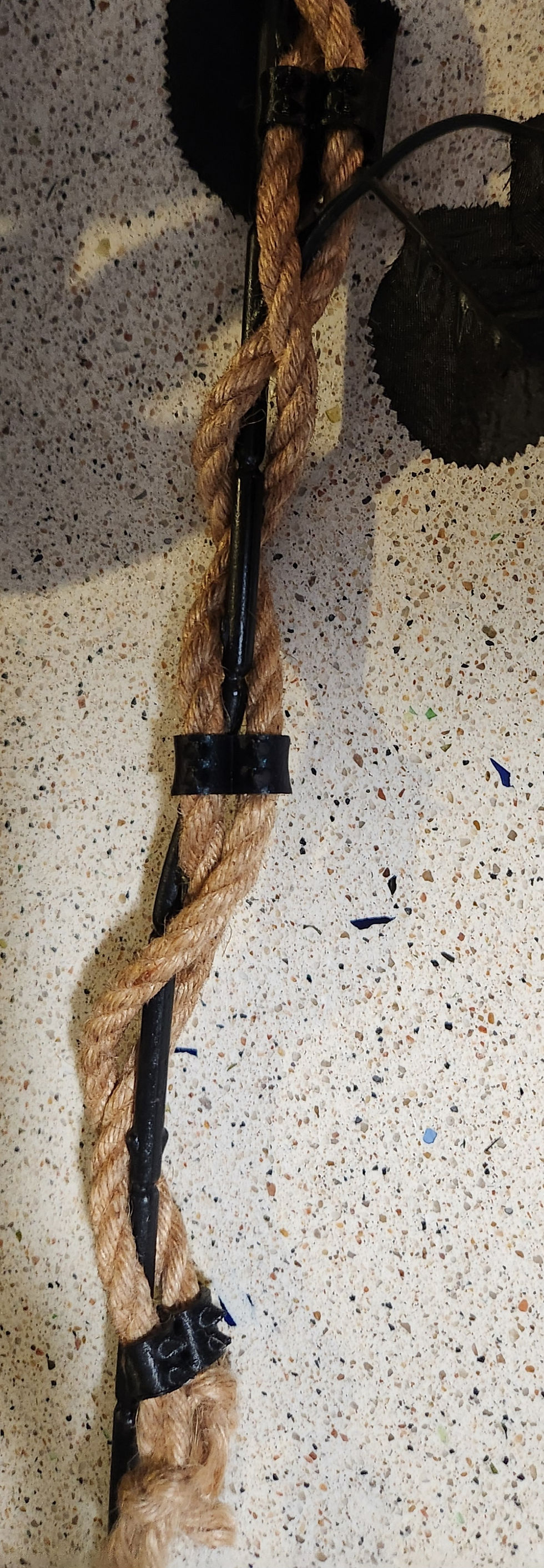 Thumbnail: Thorned Shibari Rose