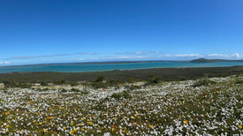 West Coast National Park