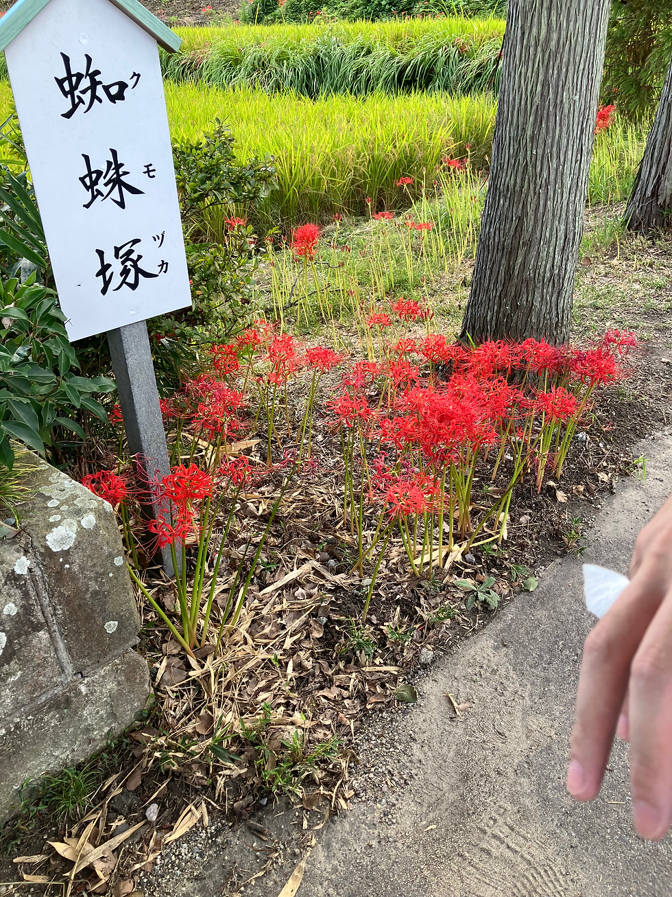 昔神武天皇が土蜘蛛を退治したと言われている場所。そしてなぜか僕の手には白い蝶が10分以上止まり続けていました。