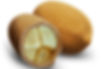 Cupuaçu