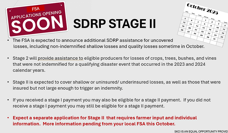 sdrp stage 2.png