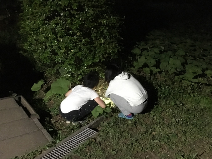 夜の一場面