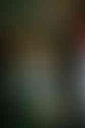 a hotel hallway in the concious hotel westerpark