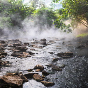 Trip to the Boiling River in Amazon Jungle. Peru