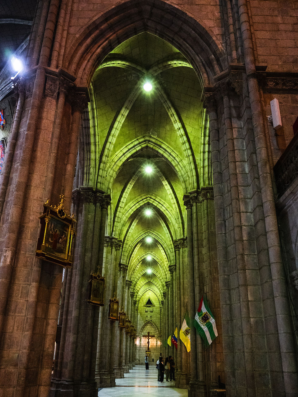 Basilica del Voto Nacional, Quito