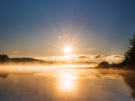 Рассвет в Лесу