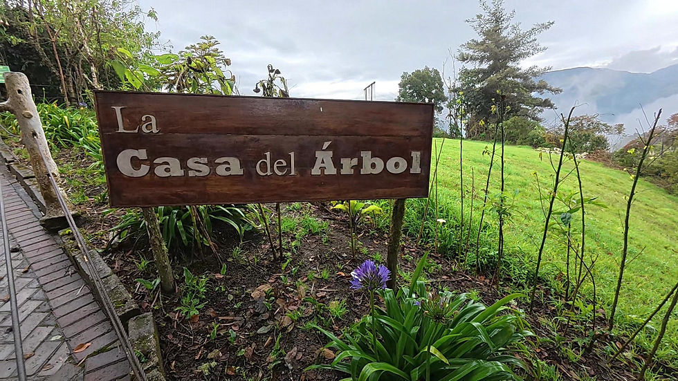 Swing at the End of the World! La Casa del Arbol (The Treehouse), Baños