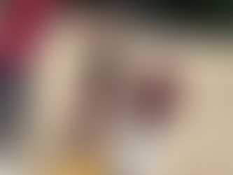 新しい仲間が増えました