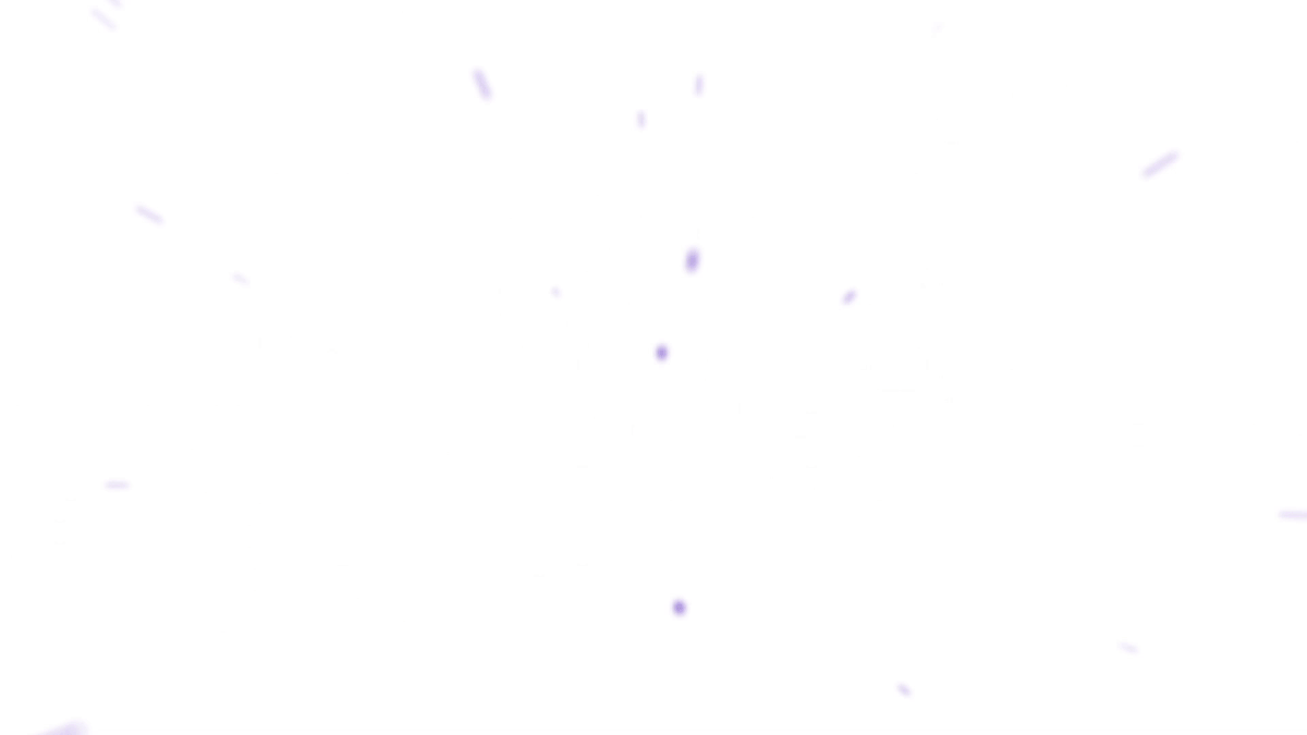 Motion Graphics