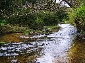river.jpg