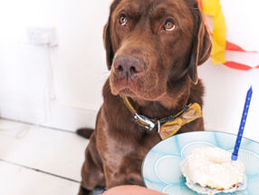 Roll Up! Roll Up! Read All About It