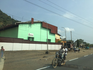 Field visit to Limbe and Yaounde