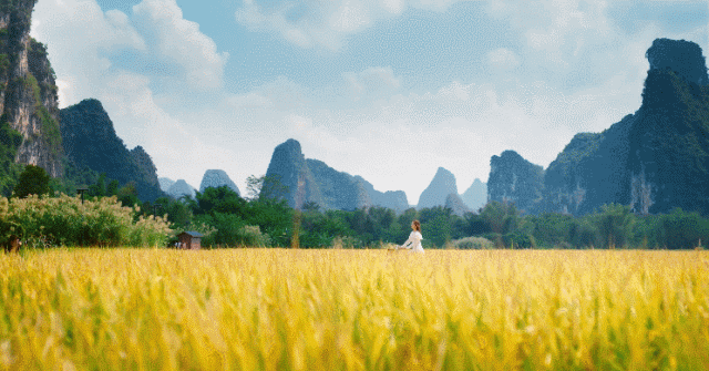 名仕3.gif
