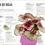 Miniatura: CÓMO NO MATAR TUS PLANTAS