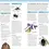 Miniatura: EYEWITNESS WORKBOOK: INSECTOS