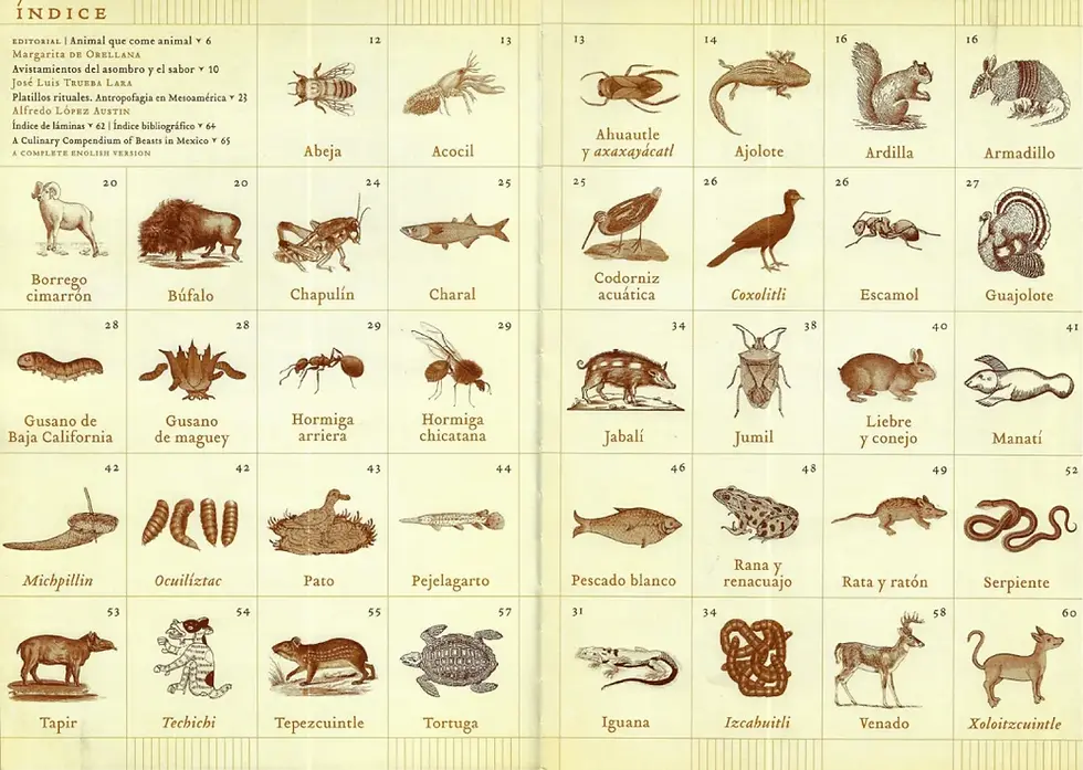 Miniatura: BESTIARIO CULINARIO DE MÉXICO. N° 130