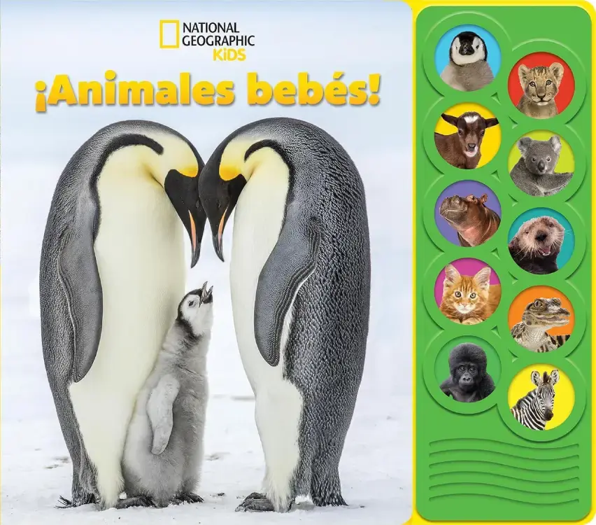 ¡ANIMALES BEBÉS!