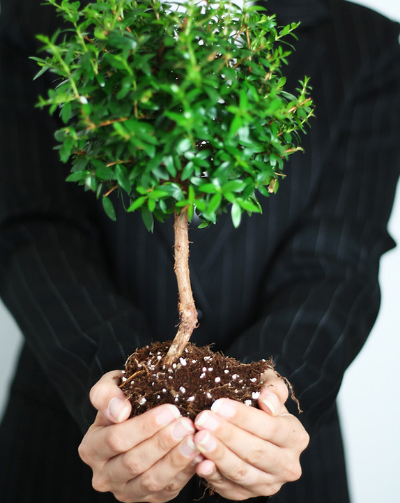 Business Growth