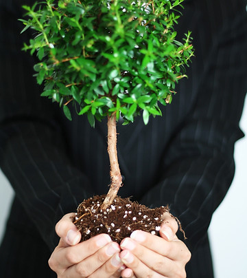 Croissance des entreprises