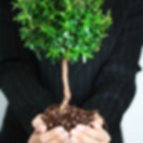 Business Growth