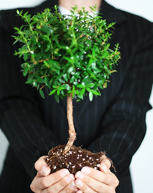 Business Growth