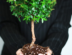 Croissance des entreprises