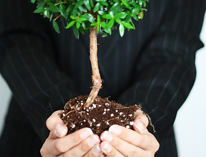 Business Growth