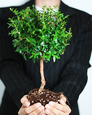 Business Growth