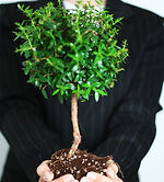 Business Growth