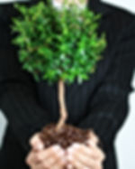 Business Growth