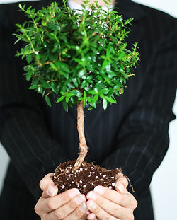 Business Growth