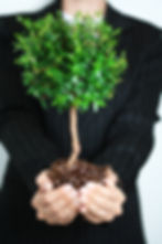 Tree in Hands