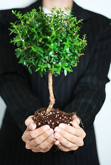 Business Growth