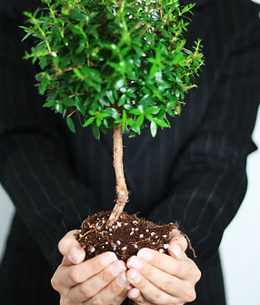 Croissance des entreprises