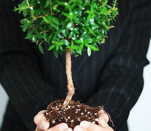 Business Growth
